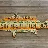 Cody Richardson Art - Georgia Redfish License Plate Art -Simms || Orvis || Patagonia Sales 2023 69D773AE 6A74 4794 AF70 2685B0D69D08