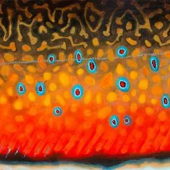 DeYoung Brook Trout Flank October Canvas Print