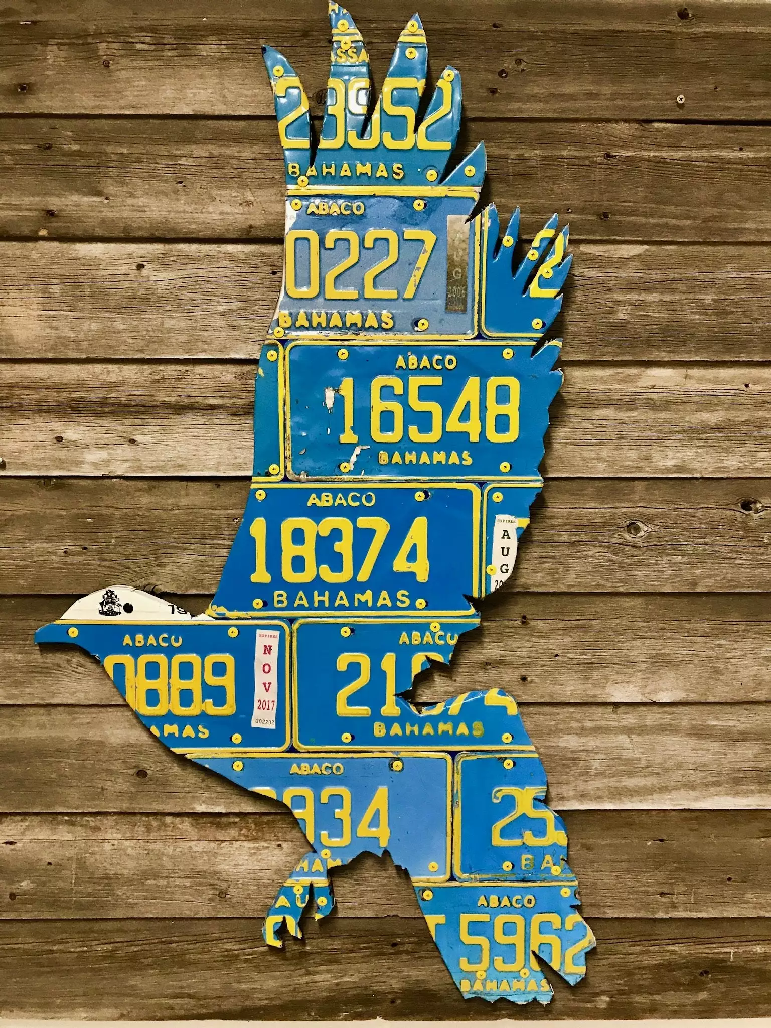 Cody Richardson Art - Bahamas White Crown Pigeon License Plate Art 1 Cody Richardson Art - Bahamas White Crown Pigeon License Plate Art