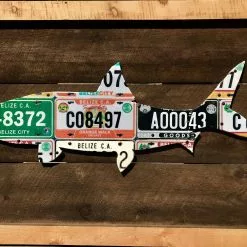 Cody Richardson Art - Belize Bonefish License Plate Art