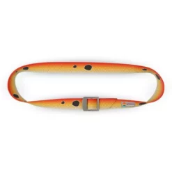 Wingo Basecamp Belt 19 Wingo Basecamp Belt -Simms || Orvis || Patagonia Sales 2023 RedfishBasecampBelt2 590x 713401e3 1fd9 4c6f ad0e 73d33521dcaa