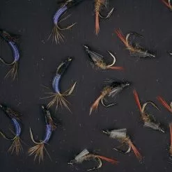 UMPQUA UPG FOAM WATERPROOF DAYTRIPPER MEDIUM FLY BOX -Simms || Orvis || Patagonia Sales 2023 UFM04778 70904.1681234321