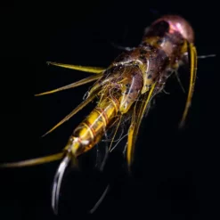 Loon Outdoors LOON UV FLY FINISH 1/2 Oz. -Simms || Orvis || Patagonia Sales 2023 UV Colored Fly Finish Brown alt 5 1000x a2b1903b ca02 4da4 9a86 230d04eb2997