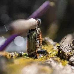 Cortland Trout Boss Fly Line -Simms || Orvis || Patagonia Sales 2023 Unknown 1100x 88f2dccb 33ba 4e53 84f1 b4936f434791