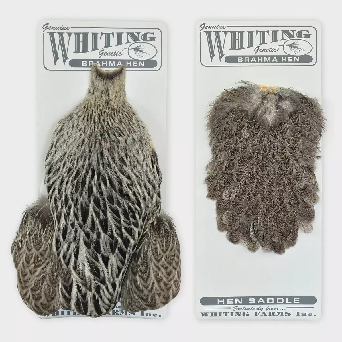 Whiting Brahma Hen Cape 1 Whiting Brahma Hen Cape