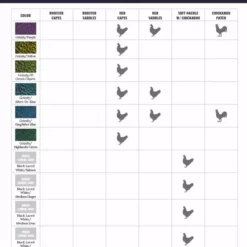 Whiting American Rooster Cape -Simms || Orvis || Patagonia Sales 2023 WF ColorChart AmericanProduct 3