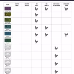 Whiting American Rooster Saddle -Simms || Orvis || Patagonia Sales 2023 WF ColorChart AmericanProduct 3 a2ccd02e 17fb 4f82 8521 9ee17be72f88