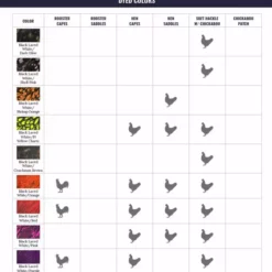 Whiting American Rooster Cape -Simms || Orvis || Patagonia Sales 2023 WF ColorChart AmericanProduct 4