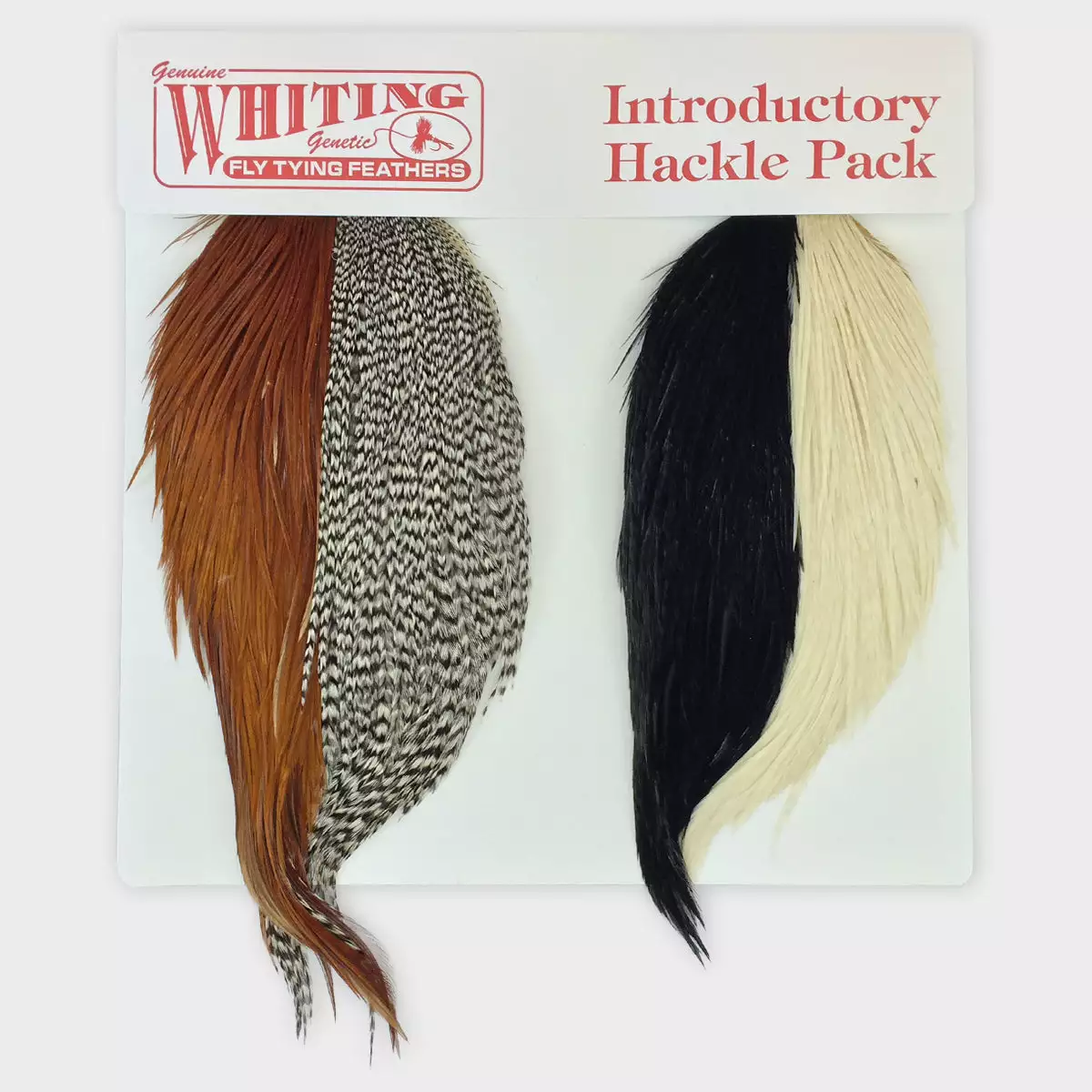 Whiting Introductory Hackle Pack - Four 1/2 Capes 1 Whiting Introductory Hackle Pack - Four 1/2 Capes