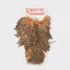 Whiting Rooster SH/C