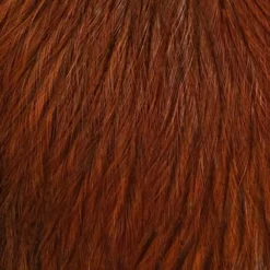 Whiting CDL Tailing Pack -Simms || Orvis || Patagonia Sales 2023 cdl burnt orange