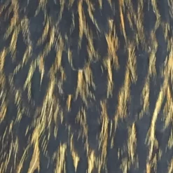 Whiting American Hen Cape -Simms || Orvis || Patagonia Sales 2023 hen cape black lace brown 48e53fdf f85b 447e ab1e 70b63a325709