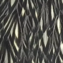 Whiting American Hen Cape -Simms || Orvis || Patagonia Sales 2023 hen cape black lace white