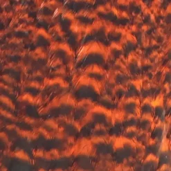 Whiting American Hen Cape -Simms || Orvis || Patagonia Sales 2023 hen cape grizz dye orange