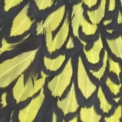 Whiting American Hen Cape -Simms || Orvis || Patagonia Sales 2023 hen sadd blw dye olive