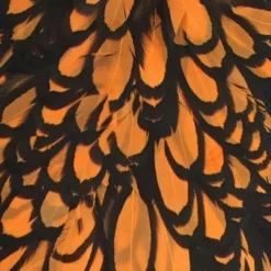 Whiting American Hen Cape -Simms || Orvis || Patagonia Sales 2023 hen sadd blw dye shrimp