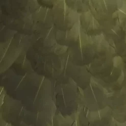 Whiting American Hen Cape -Simms || Orvis || Patagonia Sales 2023 hen sadd white dye dark olive