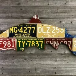 Cody Richardson Art - Michigan Steelhead License Plate Art