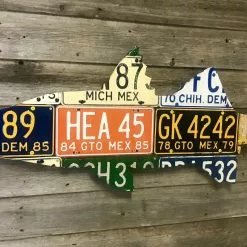 Cody Richardson Art - Mexico Snook License Plate Art