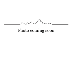 Patagonia Black Hole Duffel 40L