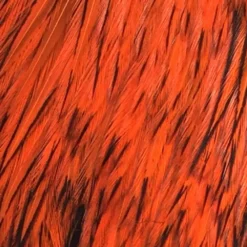 Whiting American Hen Cape -Simms || Orvis || Patagonia Sales 2023 roost cape blw dye orange