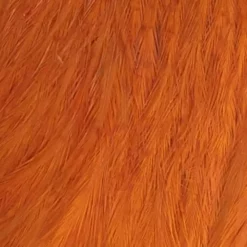 Whiting American Hen Cape -Simms || Orvis || Patagonia Sales 2023 roost cape dye burnt orange