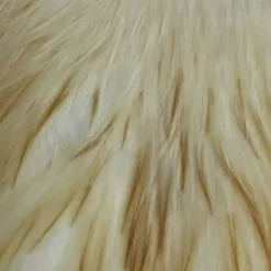 Whiting American Hen Cape -Simms || Orvis || Patagonia Sales 2023 roost sadd light ginger