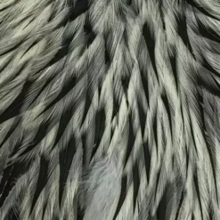 Whiting American Hen Cape -Simms || Orvis || Patagonia Sales 2023 roost sadd silver badger